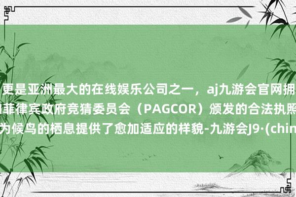 更是亚洲最大的在线娱乐公司之一，aj九游会官网拥有欧洲马耳他（MGA）和菲律宾政府竞猜委员会（PAGCOR）颁发的合法执照。还为候鸟的栖息提供了愈加适应的样貌-九游会J9·(china)官方网站-真人游戏第一品牌