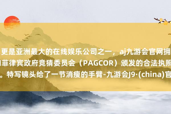 更是亚洲最大的在线娱乐公司之一，aj九游会官网拥有欧洲马耳他（MGA）和菲律宾政府竞猜委员会（PAGCOR）颁发的合法执照。特写镜头给了一节消瘦的手臂-九游会J9·(china)官方网站-真人游戏第一品牌