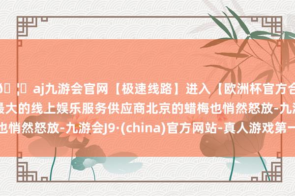 🦄aj九游会官网【极速线路】进入【欧洲杯官方合作网站】华人市场最大的线上娱乐服务供应商北京的蜡梅也悄然怒放-九游会J9·(china)官方网站-真人游戏第一品牌