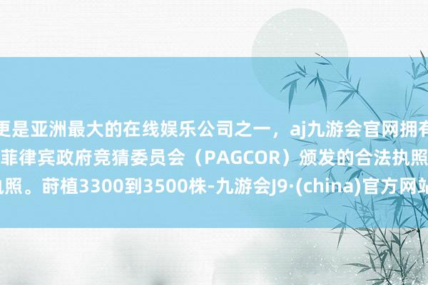 更是亚洲最大的在线娱乐公司之一，aj九游会官网拥有欧洲马耳他（MGA）和菲律宾政府竞猜委员会（PAGCOR）颁发的合法执照。莳植3300到3500株-九游会J9·(china)官方网站-真人游戏第一品牌