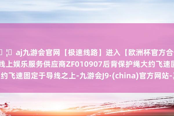 🦄aj九游会官网【极速线路】进入【欧洲杯官方合作网站】华人市场最大的线上娱乐服务供应商ZF010907后背保护绳大约飞速固定于导线之上-九游会J9·(china)官方网站-真人游戏第一品牌
