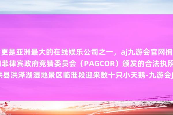 更是亚洲最大的在线娱乐公司之一，aj九游会官网拥有欧洲马耳他（MGA）和菲律宾政府竞猜委员会（PAGCOR）颁发的合法执照。江苏省泗洪县洪泽湖湿地景区临淮段迎来数十只小天鹅-九游会J9·(china)官方网站-真人游戏第一品牌