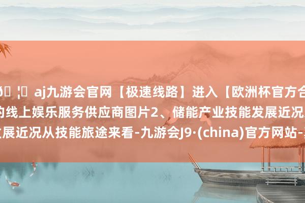 🦄aj九游会官网【极速线路】进入【欧洲杯官方合作网站】华人市场最大的线上娱乐服务供应商图片2、储能产业技能发展近况从技能旅途来看-九游会J9·(china)官方网站-真人游戏第一品牌
