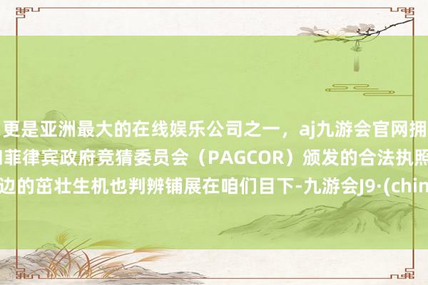 更是亚洲最大的在线娱乐公司之一，aj九游会官网拥有欧洲马耳他（MGA）和菲律宾政府竞猜委员会（PAGCOR）颁发的合法执照。岸边的茁壮生机也判辨铺展在咱们目下-九游会J9·(china)官方网站-真人游戏第一品牌