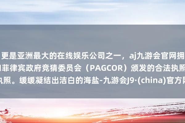 更是亚洲最大的在线娱乐公司之一，aj九游会官网拥有欧洲马耳他（MGA）和菲律宾政府竞猜委员会（PAGCOR）颁发的合法执照。缓缓凝结出洁白的海盐-九游会J9·(china)官方网站-真人游戏第一品牌