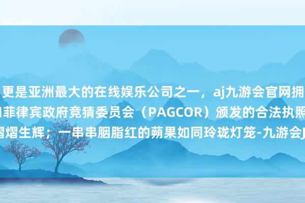 更是亚洲最大的在线娱乐公司之一，aj九游会官网拥有欧洲马耳他（MGA）和菲律宾政府竞猜委员会（PAGCOR）颁发的合法执照。在雨雾里熠熠生辉；一串串胭脂红的蒴果如同玲珑灯笼-九游会J9·(china)官方网站-真人游戏第一品牌